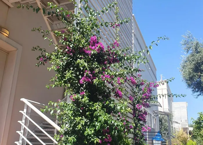 Stella Marina Family 1 Apartament